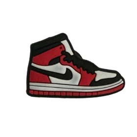 Jordan White & Red Shoe